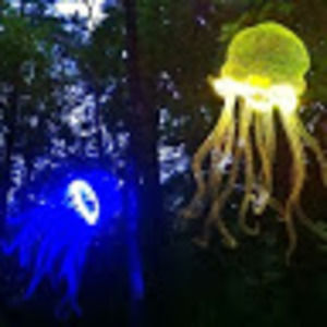 Meet your Posher, Buddha